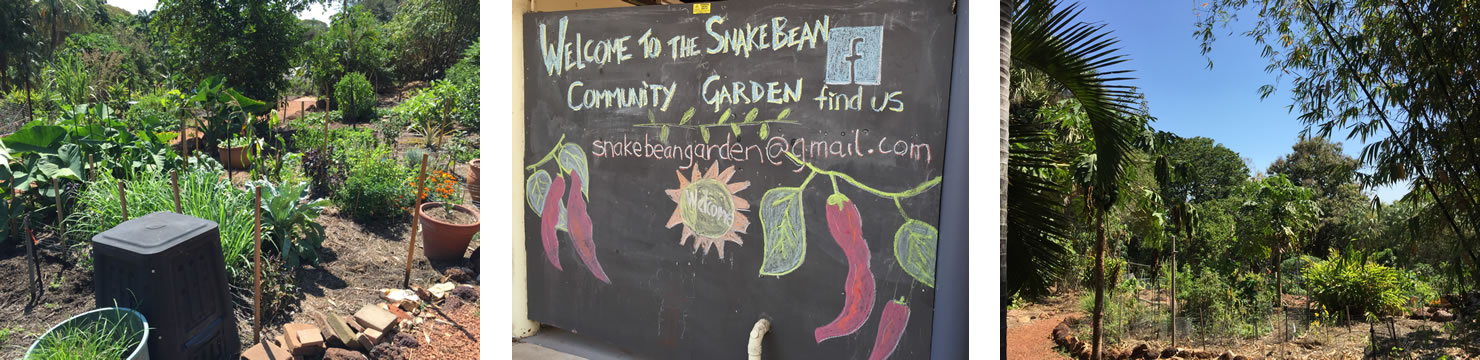 SnakebeanCommunityPermaculture pic